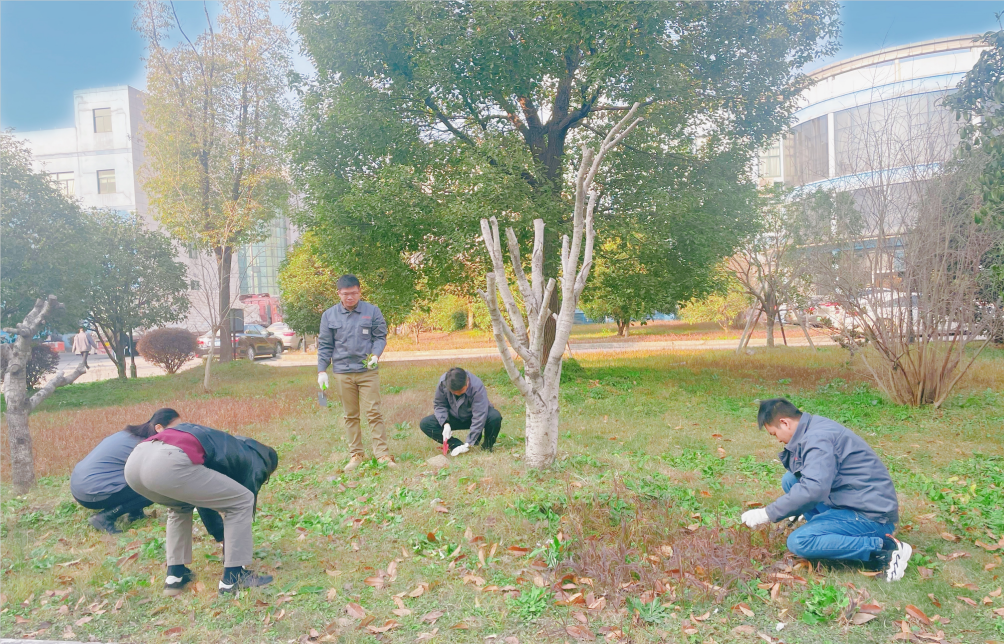 1642556589150252.png image.png